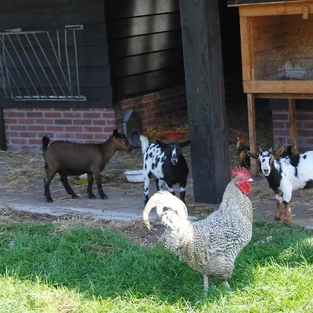 De Lummel Couette-café Mill