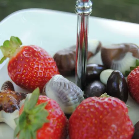 ベッド・アンド・ブレックファスト De Lummel