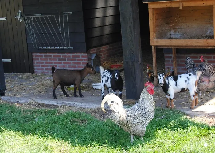 De Lummel Frühstückspension Mill